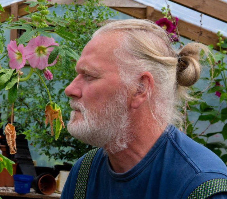 皇冠信用网代理
_两只雌蚊和一只雄蚊被发现皇冠信用网代理
,全球最后一个无蚊国冰岛“沦陷”