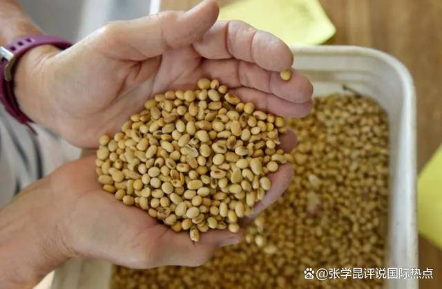 皇冠信用網开号
_48小时内皇冠信用網开号
，中方连下3令，特朗普别高兴太早，承诺一个都不能少