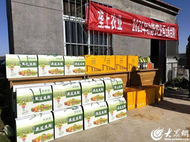 皇冠体育App下载
_山东青岛:全国首批“板蓝根白菜”喜获丰收皇冠体育App下载
,正式上市!首批10万棵已被上海采购商“包圆”