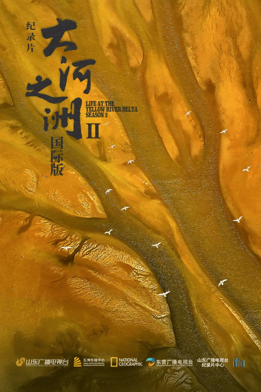 信用网怎么注册
_山东省委宣传部副部长信用网怎么注册
，山东省广播电视局党组书记、局长李建华：发挥创作传播优势 扛牢文化“两创”新使命