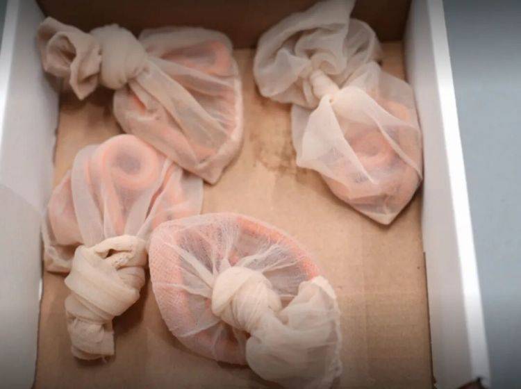 信用网如何申请
_女子神色慌张信用网如何申请
，海关在其裤子口袋内查获4条用肉色丝袜装着的活体蛇