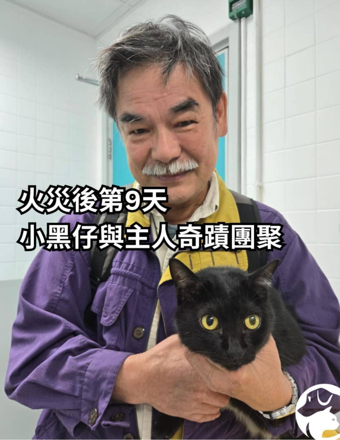 如何找当地皇冠代理
_两只猫在香港宏福苑大火后获救如何找当地皇冠代理
，灾后9日奇迹生还与主人团圆