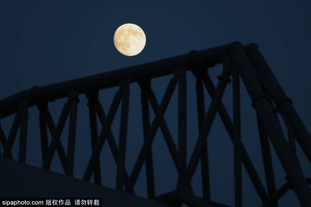 皇冠信用網如何申请
_队魂发声!杰拉德:萨拉赫替罪羊的说法是错误的皇冠信用網如何申请
,范戴克应该出面