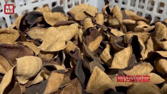 皇冠信用盘代理
_30天速成陈皮皇冠信用盘代理
,成本仅70元,利润超成本10倍以上!央视起底陈皮跨省造假产业链